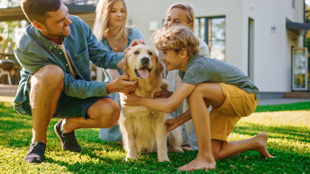 The Essentials of Pet Insurance in Australia: What Pet Owners Need to Know